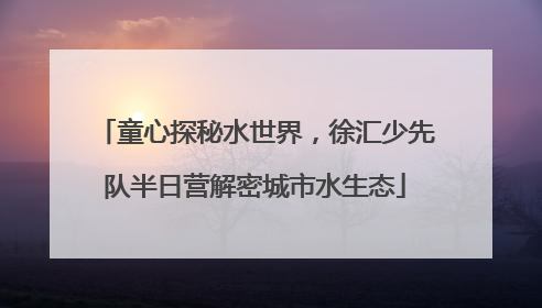 童心探秘水世界，徐汇少先队半日营解密城市水生态