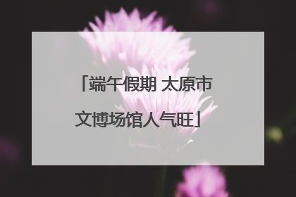 端午假期 太原市文博场馆人气旺