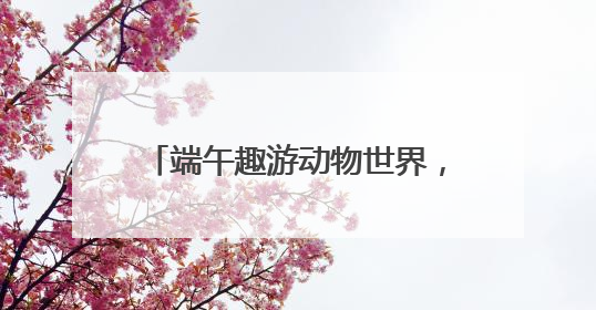 端午趣游动物世界，“粽享”量级欢乐