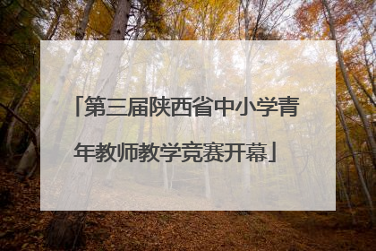 第三届陕西省中小学青年教师教学竞赛开幕
