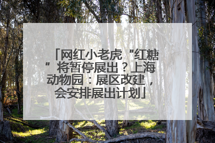 网红小老虎“红糖”将暂停展出？上海动物园：展区改建，会安排展出计划