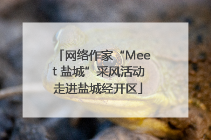 网络作家“Meet 盐城”采风活动走进盐城经开区
