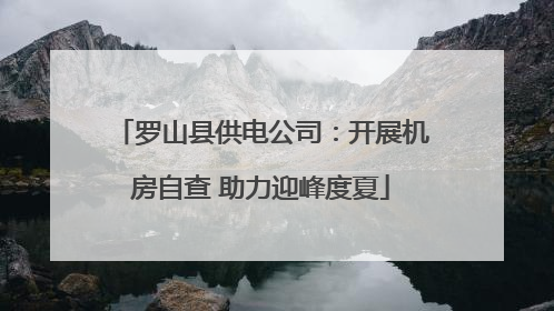 罗山县供电公司：开展机房自查 助力迎峰度夏