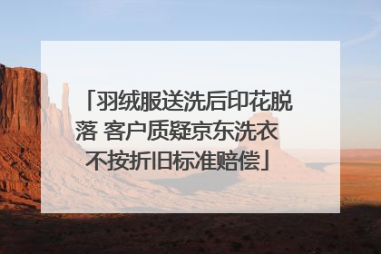 羽绒服送洗后印花脱落 客户质疑京东洗衣不按折旧标准赔偿