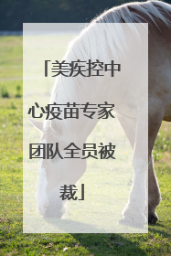美疾控中心疫苗专家团队全员被裁