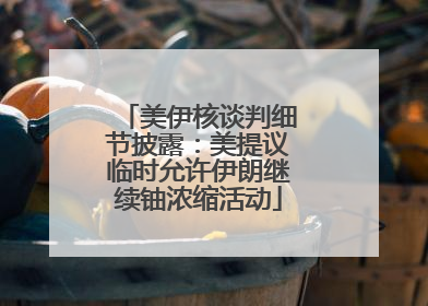 美伊核谈判细节披露：美提议临时允许伊朗继续铀浓缩活动