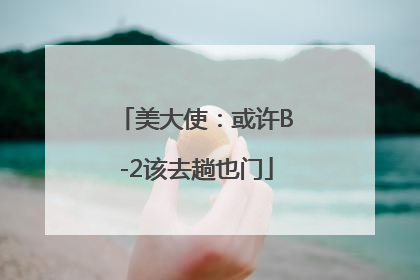 美大使：或许B-2该去趟也门