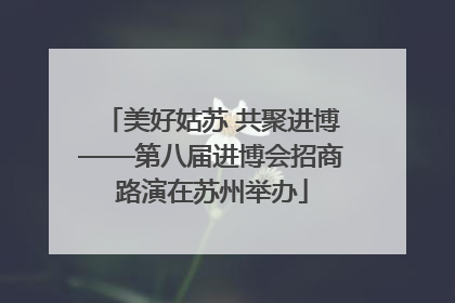 美好姑苏 共聚进博——第八届进博会招商路演在苏州举办
