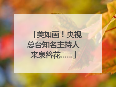 美如画！央视总台知名主持人来泉簪花……