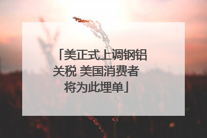 美正式上调钢铝关税 美国消费者将为此埋单
