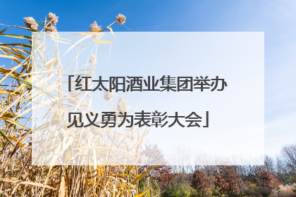 红太阳酒业集团举办见义勇为表彰大会