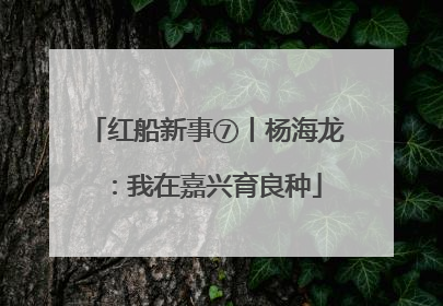 红船新事⑦丨杨海龙：我在嘉兴育良种