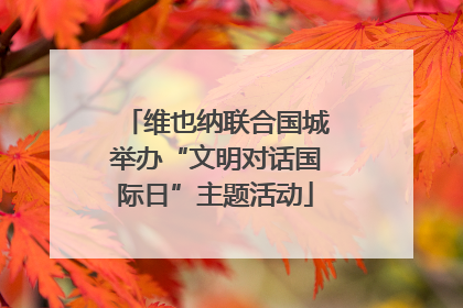 维也纳联合国城举办“文明对话国际日”主题活动