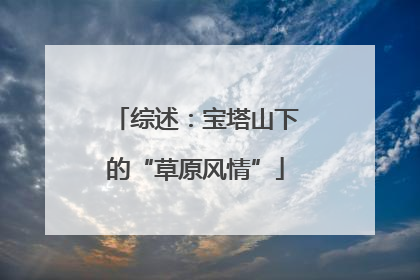 综述：宝塔山下的“草原风情”