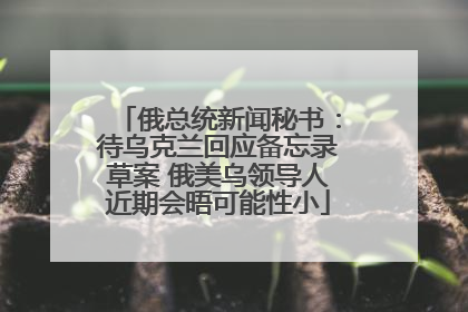 俄总统新闻秘书：待乌克兰回应备忘录草案 俄美乌领导人近期会晤可能性小