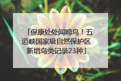 保康处处闻啼鸟！五道峡国家级自然保护区新增鸟类记录23种