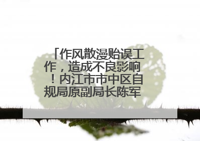 作风散漫贻误工作，造成不良影响！内江市市中区自规局原副局长陈军被“双开”