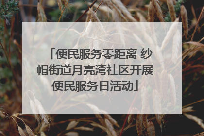 便民服务零距离 纱帽街道月亮湾社区开展便民服务日活动