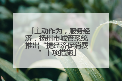 主动作为，服务经济，扬州市城管系统推出“提经济促消费”十项措施