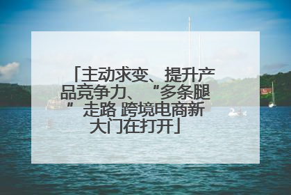 主动求变、提升产品竞争力、“多条腿”走路 跨境电商新大门在打开