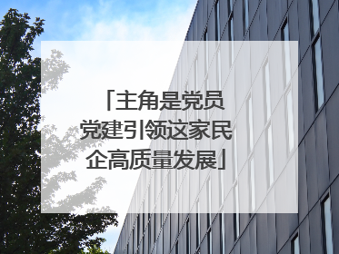 主角是党员 党建引领这家民企高质量发展