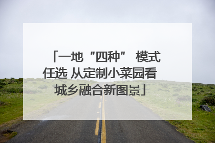 一地“四种” 模式任选 从定制小菜园看城乡融合新图景