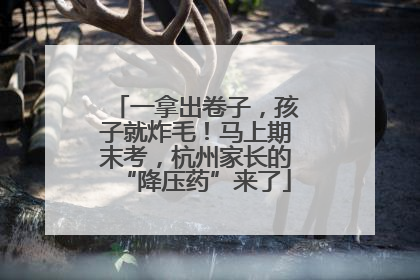 一拿出卷子，孩子就炸毛！马上期末考，杭州家长的“降压药”来了