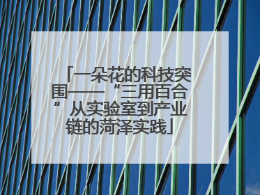 一朵花的科技突围——“三用百合”从实验室到产业链的菏泽实践