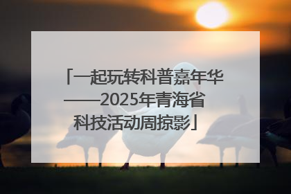 一起玩转科普嘉年华——2025年青海省科技活动周掠影