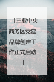 三亚中央商务区党建品牌创建工作正式启动