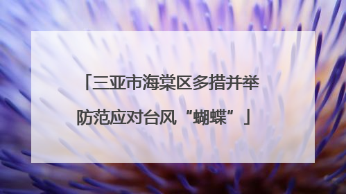 三亚市海棠区多措并举防范应对台风“蝴蝶”
