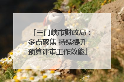 三门峡市财政局：多点聚焦 持续提升预算评审工作效能