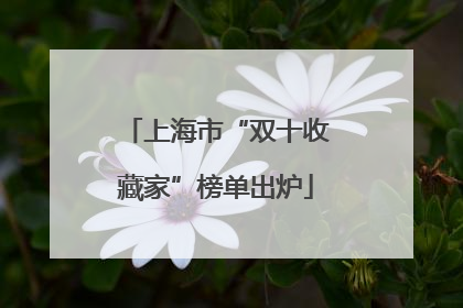 上海市“双十收藏家”榜单出炉