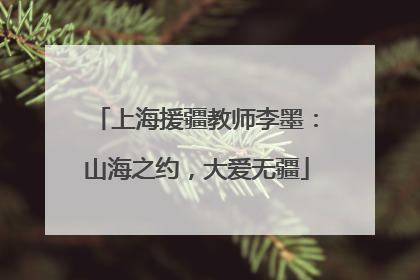 上海援疆教师李墨：山海之约，大爱无疆