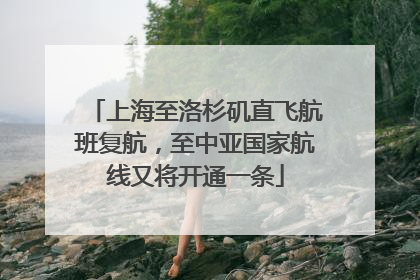 上海至洛杉矶直飞航班复航，至中亚国家航线又将开通一条