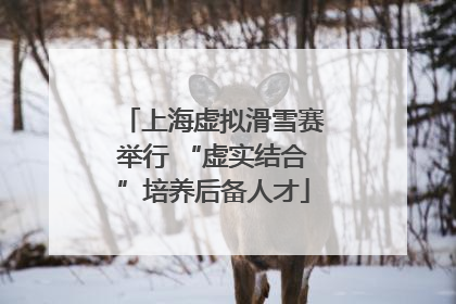上海虚拟滑雪赛举行 “虚实结合”培养后备人才