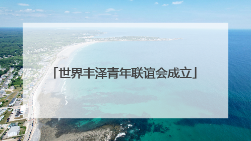 世界丰泽青年联谊会成立