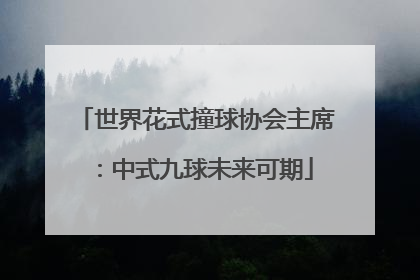 世界花式撞球协会主席：中式九球未来可期