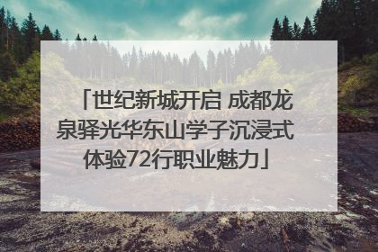 世纪新城开启 成都龙泉驿光华东山学子沉浸式体验72行职业魅力