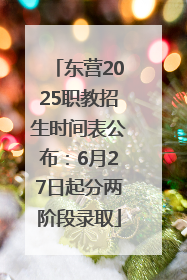东营2025职教招生时间表公布：6月27日起分两阶段录取