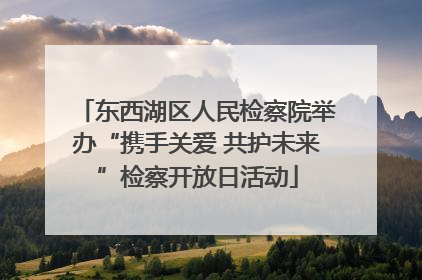 东西湖区人民检察院举办“携手关爱 共护未来”检察开放日活动