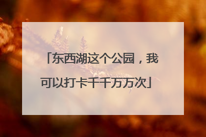 东西湖这个公园，我可以打卡千千万万次