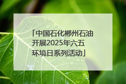 中国石化郴州石油开展2025年六五环境日系列活动