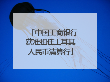 中国工商银行获准担任土耳其人民币清算行