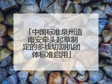 中国标准泉州造 南安牵头起草制定的多线切割机团体标准启用