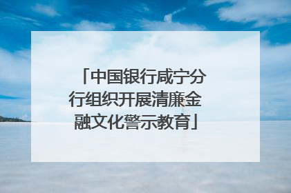 中国银行咸宁分行组织开展清廉金融文化警示教育