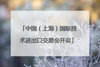 中国（上海）国际技术进出口交易会开幕