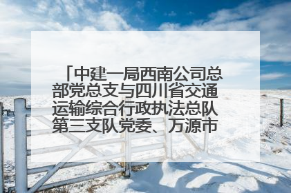 中建一局西南公司总部党总支与四川省交通运输综合行政执法总队第三支队党委、万源市草坝镇莲花院村党支部开展党建联建