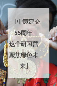 中意建交55周年 这个研习营聚焦绿色未来