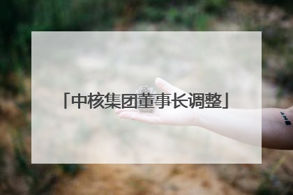 中核集团董事长调整